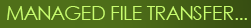 Managed File Transfer